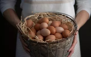 low ovarian reserve, low egg count, ovarian reserve