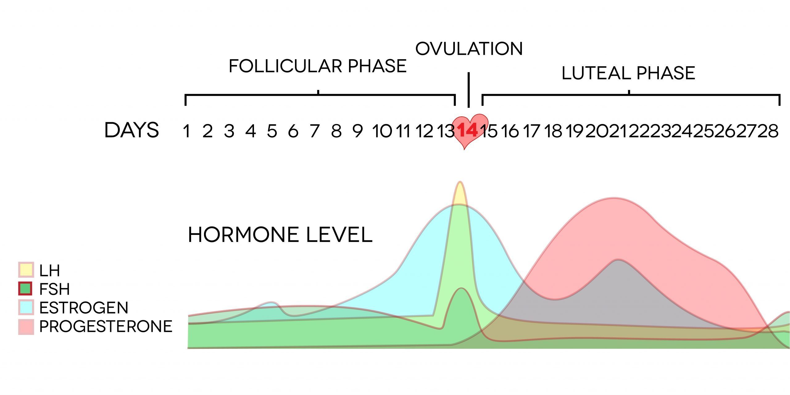 Luteal Phase Deficiency - New Hope Fertility Center